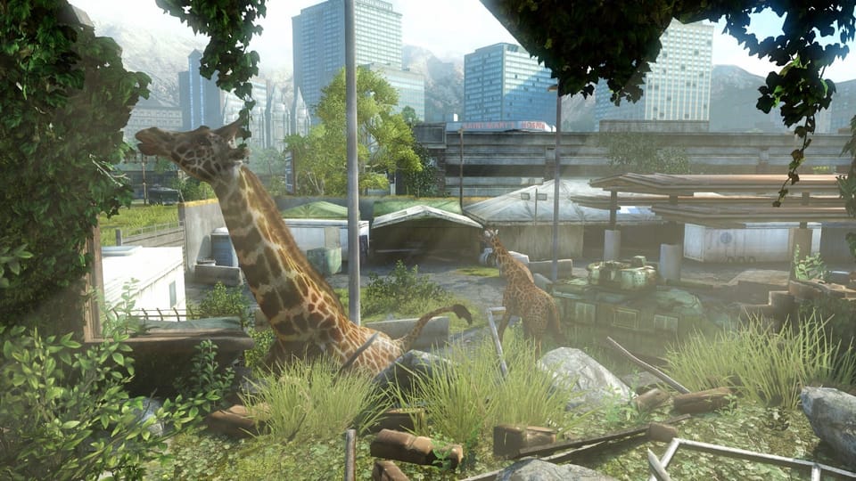 Over giraffen, pandemieën en videogames