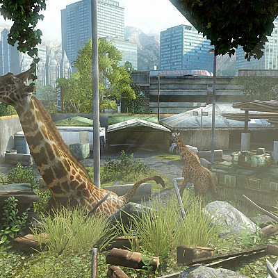 Over giraffen, pandemieën en videogames